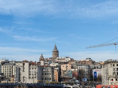 Barselona, İstanbul şehir manzarası ve hayvan çiçeği manzarası 