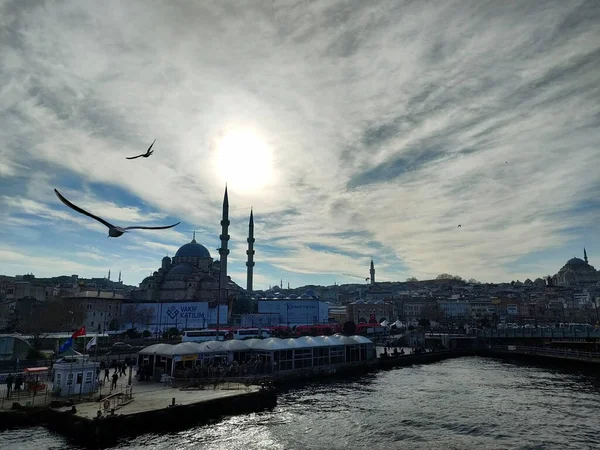 Barselona Stanbul Şehir Manzarası Hayvan Çiçeği Manzarası — Stok fotoğraf