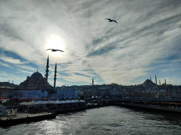 Barcelone Istanbul Vue Sur Ville Les Fleurs Animales — Photo