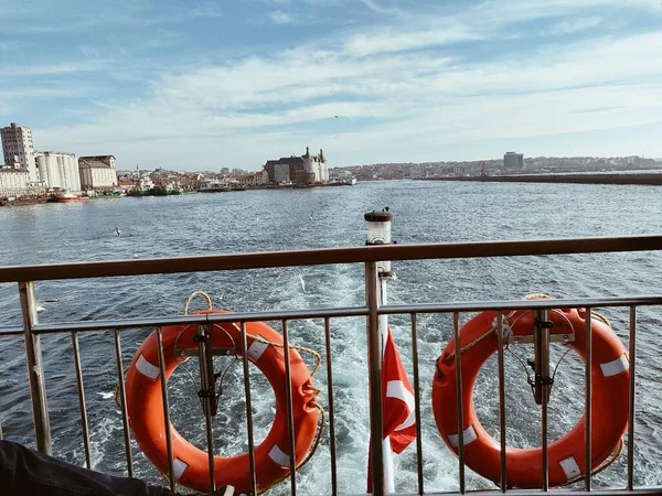 Barcelone Istanbul Vue Sur Ville Les Fleurs Animales — Photo