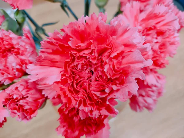 Barselona şehir manzarası ve gülümseyen yüz ve karanfil çiçekleri pembe, portakal meyvesi 