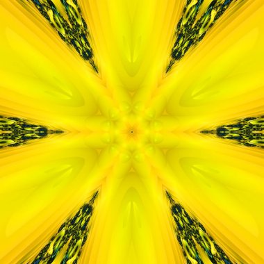 Fraktallar, farklı ölçeklerde kendine benzeyen sonsuz derecede karmaşık kalıplardır. Mandelbrot 'un video döngüsü özenle hazırlanmış bir sonsuz karmaşıklık sergiliyor