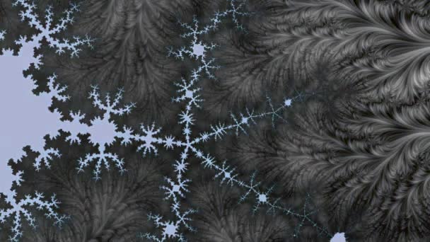 Fraktallar Farklı Ölçeklerde Kendine Benzeyen Sonsuz Derecede Karmaşık Kalıplardır Mandelbrot — Stok video