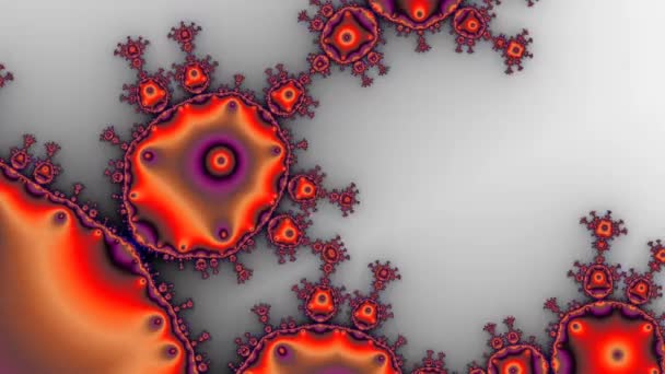 Fraktallar Farklı Ölçeklerde Kendine Benzeyen Sonsuz Derecede Karmaşık Kalıplardır Mandelbrot — Stok video
