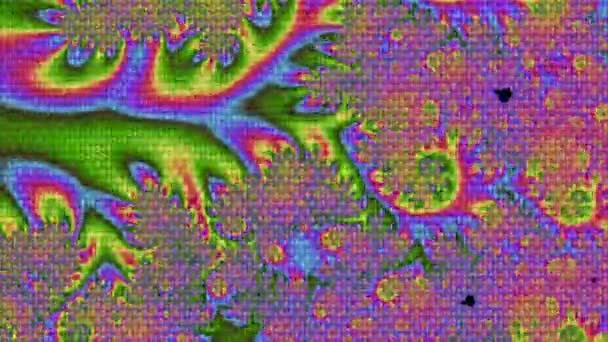 Abstraktes Computer Generiertes Fraktal Design Ein Fraktal Ist Ein Endloses — Stockvideo