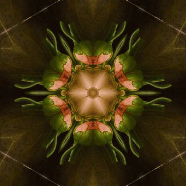 Soyut Bilgisayar Fraktal Tasarımı. Fraktal hiç bitmeyen bir desen. Fraktallar, farklı ölçeklerde kendine benzeyen sonsuz derecede karmaşık kalıplardır.