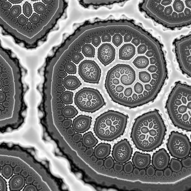 dijital soyut fraktal arkaplan bilgisayarda siyah ve beyaz olarak oluşturuldu.