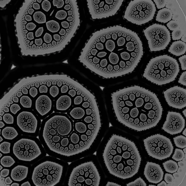 Цифровой Абстрактный Фрактальный Фон Созданный Компьютере Черно Белом Цвете — стоковое фото