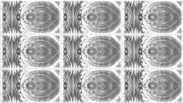 Abstraktes Computer Generiertes Fraktal Design Ein Fraktal Ist Ein Endloses — Stockvideo