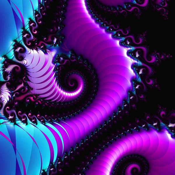 Fractal Image