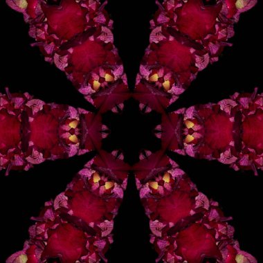 Soyut Bilgisayar Fraktal Tasarımı. Fraktal hiç bitmeyen bir desen. Fraktallar, farklı ölçeklerde kendine benzeyen sonsuz derecede karmaşık kalıplardır.