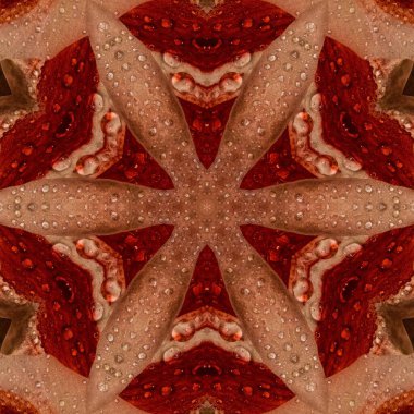 Soyut Bilgisayar Fraktal Tasarımı. Fraktal hiç bitmeyen bir desen. Fraktallar, farklı ölçeklerde kendine benzeyen sonsuz derecede karmaşık kalıplardır.