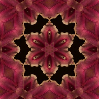 Soyut Bilgisayar Fraktal Tasarımı. Fraktal hiç bitmeyen bir desen. Fraktallar, farklı ölçeklerde kendine benzeyen sonsuz derecede karmaşık kalıplardır.