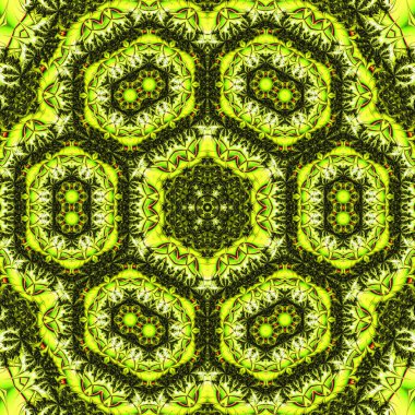 Soyut Bilgisayar Fraktal Tasarımı. Fraktal hiç bitmeyen bir desen. Fraktallar, farklı ölçeklerde kendine benzeyen sonsuz derecede karmaşık kalıplardır.