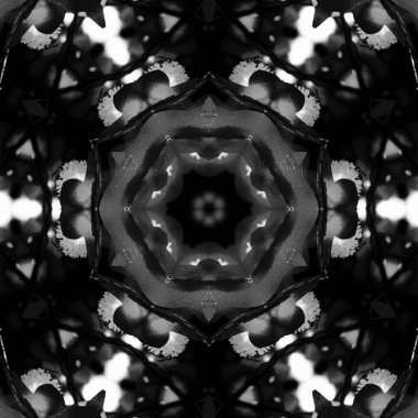 Soyut Bilgisayar Fraktal Tasarımı. Fraktal hiç bitmeyen bir desen. Fraktallar, farklı ölçeklerde kendine benzeyen sonsuz derecede karmaşık kalıplardır.