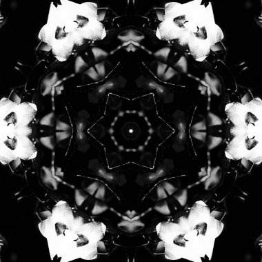 Soyut Bilgisayar Fraktal Tasarımı. Fraktal hiç bitmeyen bir desen. Fraktallar, farklı ölçeklerde kendine benzeyen sonsuz derecede karmaşık kalıplardır.