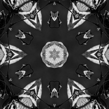 Soyut Bilgisayar Fraktal Tasarımı. Fraktal hiç bitmeyen bir desen. Fraktallar, farklı ölçeklerde kendine benzeyen sonsuz derecede karmaşık kalıplardır.