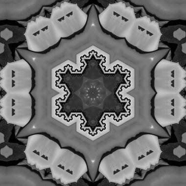 Soyut Bilgisayar Fraktal Tasarımı. Fraktal hiç bitmeyen bir desen. Fraktallar, farklı ölçeklerde kendine benzeyen sonsuz derecede karmaşık kalıplardır.