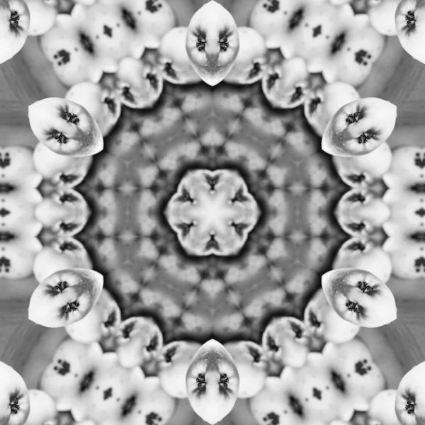 Abstract Computergegenereerd Fractaal Ontwerp Een Fractal Een Nooit Eindigend Patroon — Stockfoto