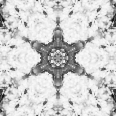 Soyut Bilgisayar Fraktal Tasarımı. Fraktal hiç bitmeyen bir desen. Fraktallar, farklı ölçeklerde kendine benzeyen sonsuz derecede karmaşık kalıplardır.