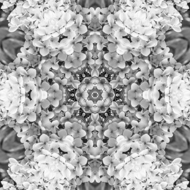 Soyut Bilgisayar Fraktal Tasarımı. Fraktal hiç bitmeyen bir desen. Fraktallar, farklı ölçeklerde kendine benzeyen sonsuz derecede karmaşık kalıplardır.