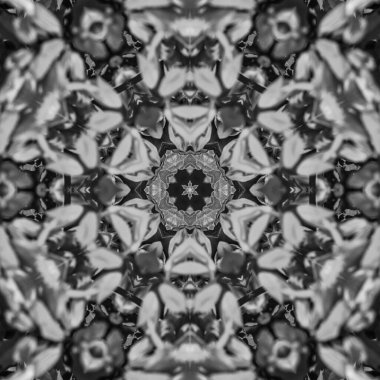 Soyut Bilgisayar Fraktal Tasarımı. Fraktal hiç bitmeyen bir desen. Fraktallar, farklı ölçeklerde kendine benzeyen sonsuz derecede karmaşık kalıplardır.