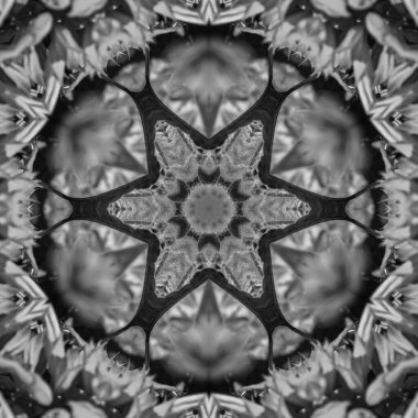 Soyut Bilgisayar Fraktal Tasarımı. Fraktal hiç bitmeyen bir desen. Fraktallar, farklı ölçeklerde kendine benzeyen sonsuz derecede karmaşık kalıplardır.