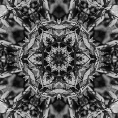 Soyut Bilgisayar Fraktal Tasarımı. Fraktal hiç bitmeyen bir desen. Fraktallar, farklı ölçeklerde kendine benzeyen sonsuz derecede karmaşık kalıplardır.