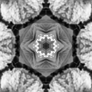 Soyut Bilgisayar Fraktal Tasarımı. Fraktal hiç bitmeyen bir desen. Fraktallar, farklı ölçeklerde kendine benzeyen sonsuz derecede karmaşık kalıplardır.