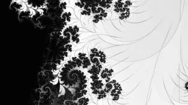 Siyah ve beyaz monokrom soyut sanat video animasyonu gerçeküstü uzaylı fraktal kaleydoskopik anahat çiçek kristal simetri yapısı dönüşüm değişim sürecinde 