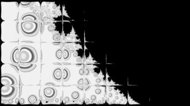 Siyah ve beyaz monokrom soyut sanat video animasyonu gerçeküstü uzaylı fraktal kaleydoskopik anahat çiçek kristal simetri yapısı dönüşüm değişim sürecinde 