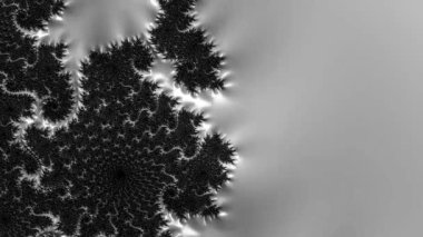 Siyah ve beyaz monokrom soyut sanat video animasyonu gerçeküstü uzaylı fraktal kaleydoskopik anahat çiçek kristal simetri yapısı dönüşüm değişim sürecinde 