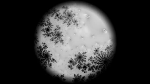 变换过程中超现实异形分形万花筒轮廓花晶体菱形对称结构黑白单色抽象动画渲染 — 图库视频影像