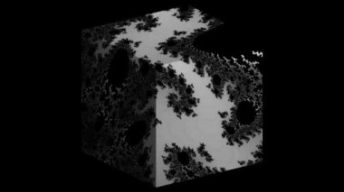 Siyah ve beyaz monokrom soyut sanat video animasyonu gerçeküstü uzaylı fraktal kaleydoskopik anahat çiçek kristal simetri yapısı dönüşüm değişim sürecinde 