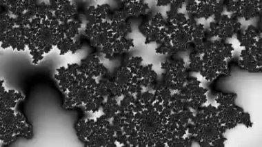 Siyah ve beyaz monokrom soyut sanat video animasyonu gerçeküstü uzaylı fraktal kaleydoskopik anahat çiçek kristal simetri yapısı dönüşüm değişim sürecinde 