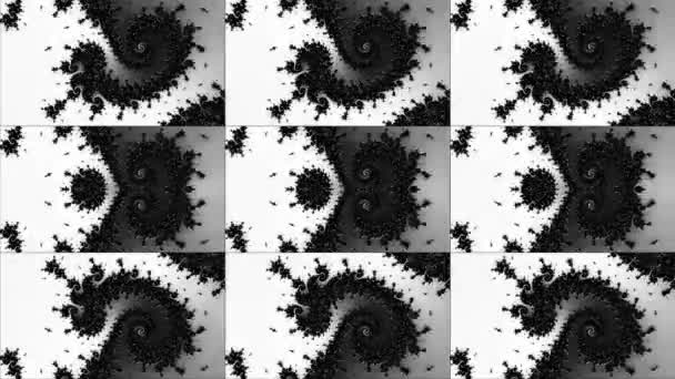 变换过程中超现实异形分形万花筒轮廓花晶体菱形对称结构黑白单色抽象动画渲染 — 图库视频影像