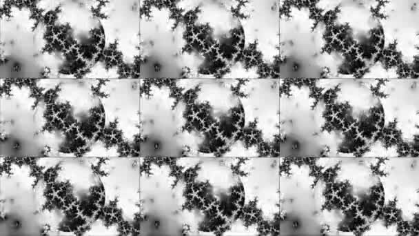 Renderizado Blanco Negro Monocromo Arte Abstracto Video Animación Con Surrealista — Vídeo de stock