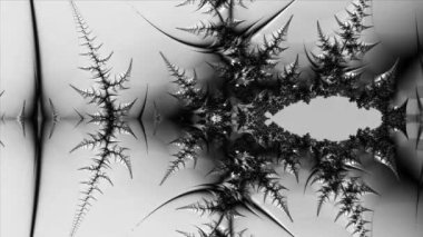 Siyah ve beyaz monokrom soyut sanat video animasyonu gerçeküstü uzaylı fraktal kaleydoskopik anahat çiçek kristal simetri yapısı dönüşüm değişim sürecinde 