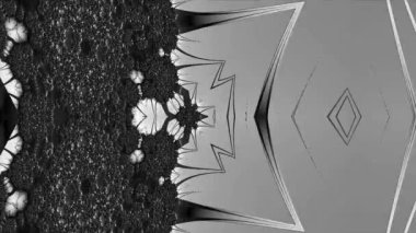 Siyah ve beyaz monokrom soyut sanat video animasyonu gerçeküstü uzaylı fraktal kaleydoskopik anahat çiçek kristal simetri yapısı dönüşüm değişim sürecinde 