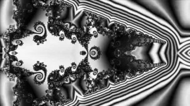 Siyah ve beyaz monokrom soyut sanat video animasyonu gerçeküstü uzaylı fraktal kaleydoskopik anahat çiçek kristal simetri yapısı dönüşüm değişim sürecinde 