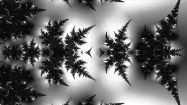 Siyah ve beyaz monokrom soyut sanat video animasyonu gerçeküstü uzaylı fraktal kaleydoskopik anahat çiçek kristal simetri yapısı dönüşüm değişim sürecinde 