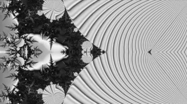 Siyah ve beyaz monokrom soyut sanat video animasyonu gerçeküstü uzaylı fraktal kaleydoskopik anahat çiçek kristal simetri yapısı dönüşüm değişim sürecinde 