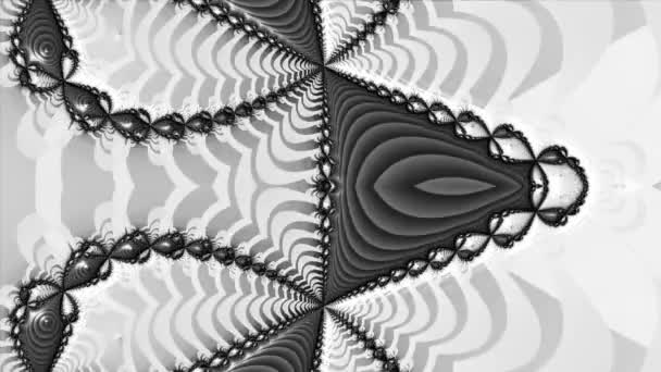 超現実的なエイリアンのフラクタル万華鏡の輪郭花の結晶ダイヤモンド対称構造と黒と白のモノクローム抽象アートビデオアニメーションのレンダリング変換プロセスの変化 — ストック動画