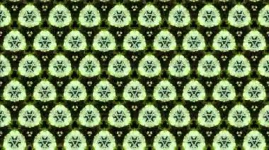 Siyah ve beyaz monokrom soyut sanat video animasyonu gerçeküstü uzaylı fraktal kaleydoskopik anahat çiçek kristal simetri yapısı dönüşüm değişim sürecinde 