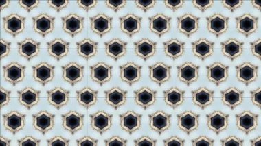 Siyah ve beyaz monokrom soyut sanat video animasyonu gerçeküstü uzaylı fraktal kaleydoskopik anahat çiçek kristal simetri yapısı dönüşüm değişim sürecinde 