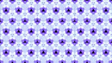 Siyah ve beyaz monokrom soyut sanat video animasyonu gerçeküstü uzaylı fraktal kaleydoskopik anahat çiçek kristal simetri yapısı dönüşüm değişim sürecinde 