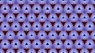 Siyah ve beyaz monokrom soyut sanat video animasyonu gerçeküstü uzaylı fraktal kaleydoskopik anahat çiçek kristal simetri yapısı dönüşüm değişim sürecinde 