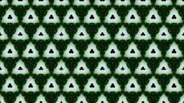 Siyah ve beyaz monokrom soyut sanat video animasyonu gerçeküstü uzaylı fraktal kaleydoskopik anahat çiçek kristal simetri yapısı dönüşüm değişim sürecinde 