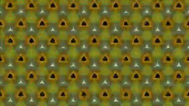 Siyah ve beyaz monokrom soyut sanat video animasyonu gerçeküstü uzaylı fraktal kaleydoskopik anahat çiçek kristal simetri yapısı dönüşüm değişim sürecinde 