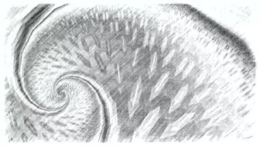 Siyah ve beyaz monokrom soyut sanat video animasyonu gerçeküstü uzaylı fraktal kaleydoskopik anahat çiçek kristal simetri yapısı dönüşüm değişim sürecinde 